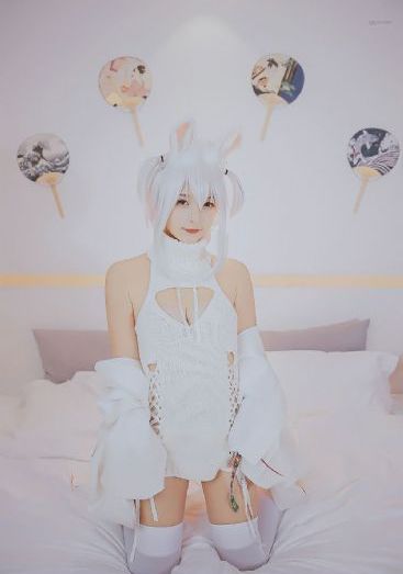 女子全员计划_1080P电影完整版